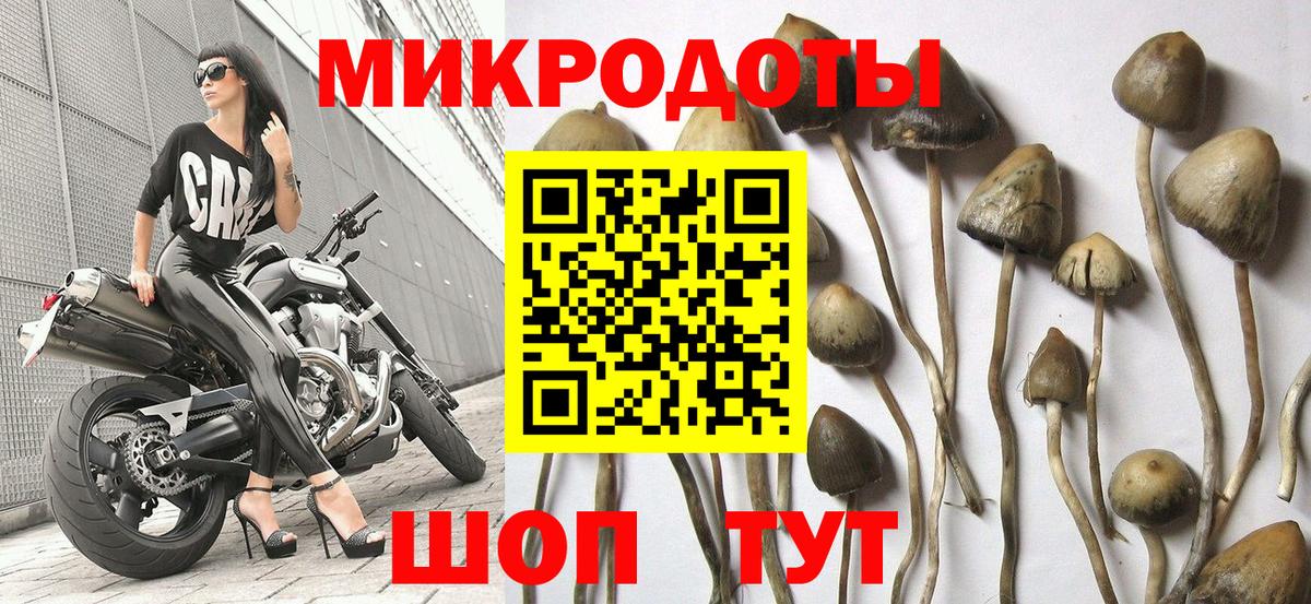 Амфетамин Лесосибирск