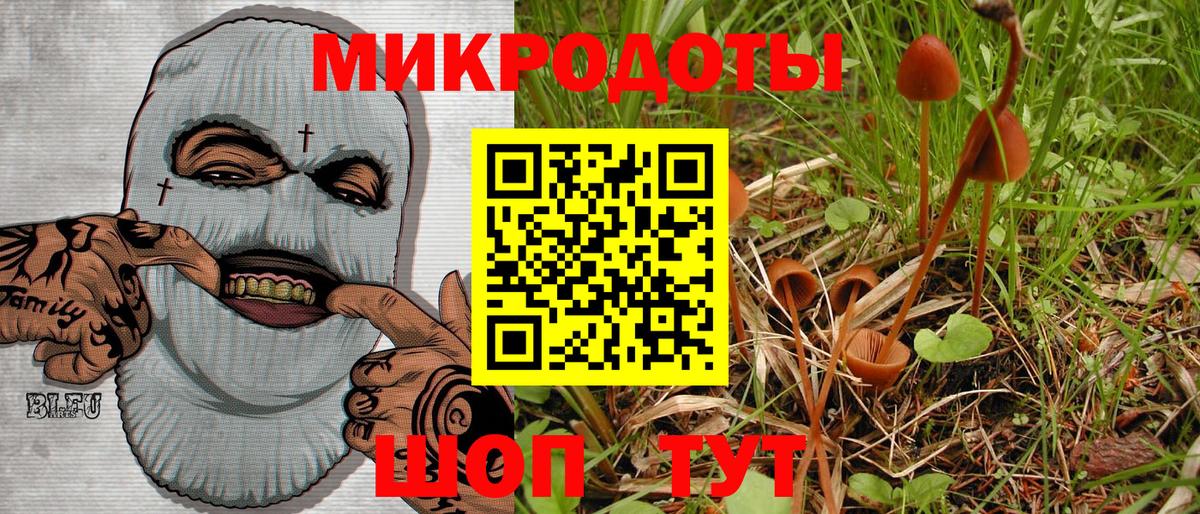 Галлюциногенные грибы прущие грибы  Вход с VPN  Галлюциногенные грибы ЛСД  Лесосибирск 