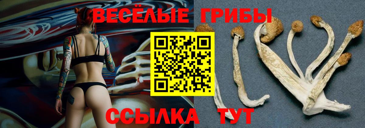 Галлюциногенные грибы Magic Shrooms Лесосибирск